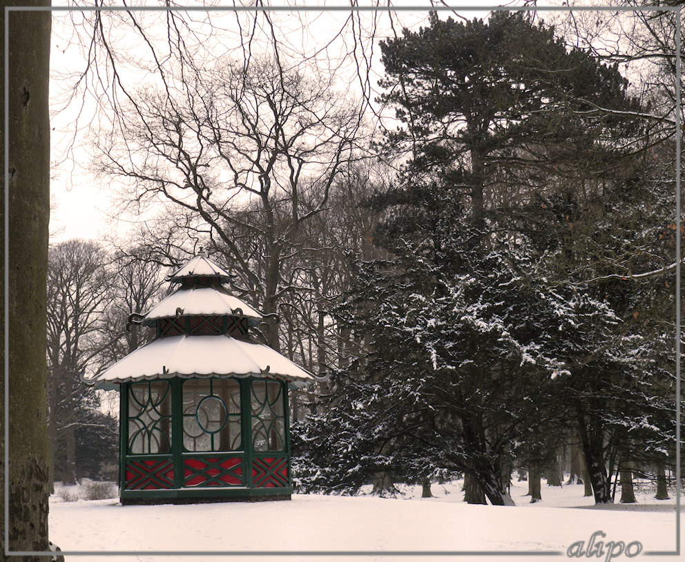 Velserbeek OLYMPUS 9010