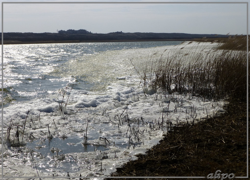 20130325_1041ijs_Kennemermeer2 Lumix TZ30