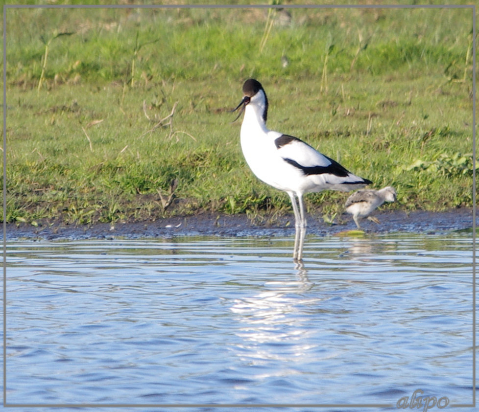 20130601_2000kluten_Gruijterslandje15