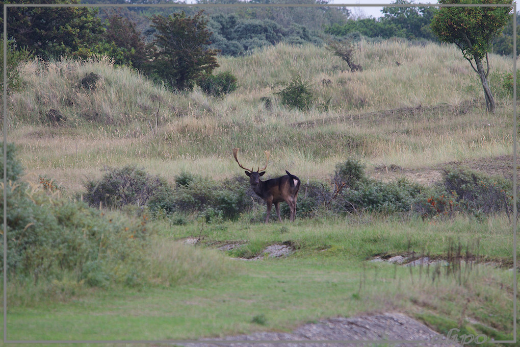 20130925_1627hertenman_Panneland