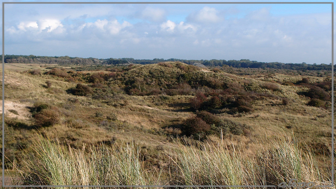 Duinen Heemskerk Olympus XZ1