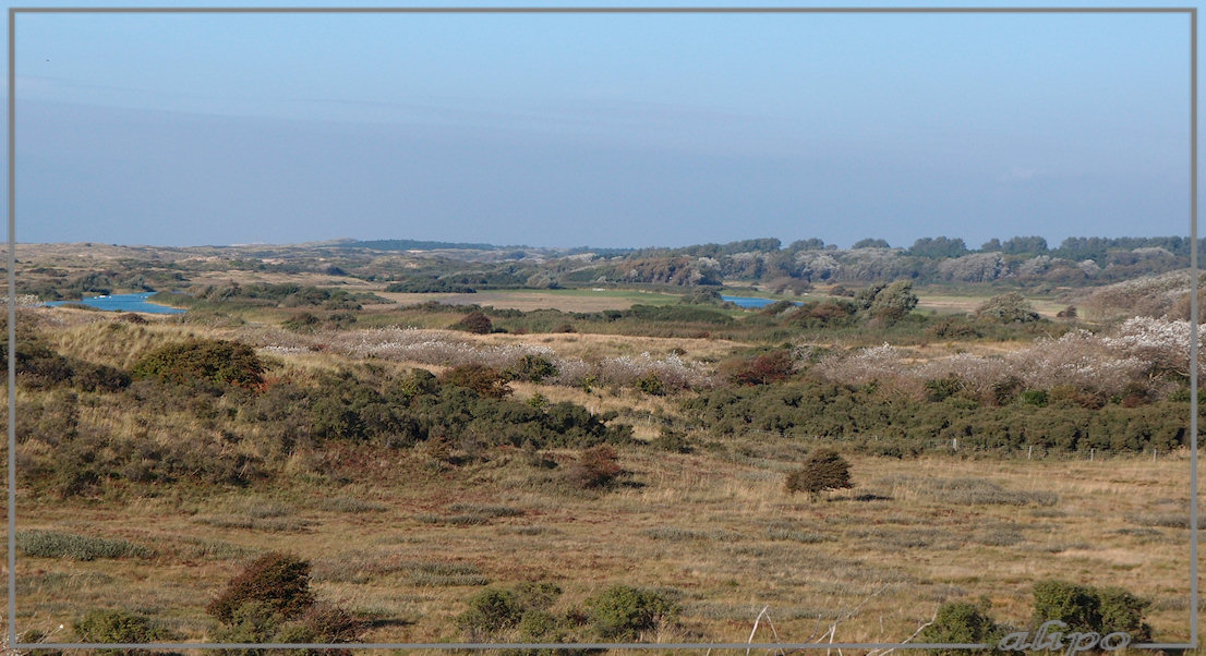 duinen Heemskerk Olympus XZ1