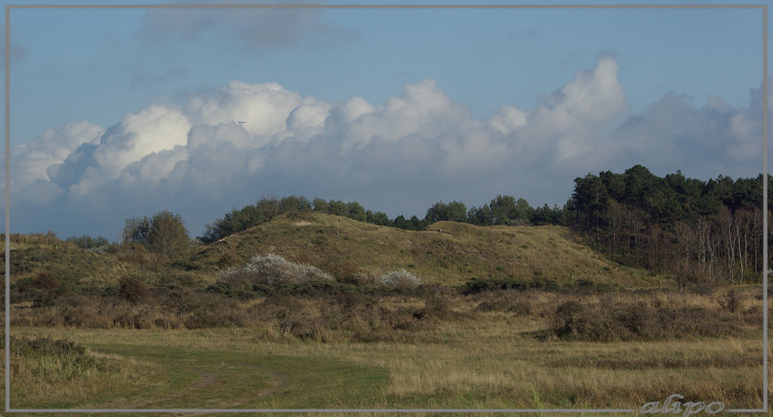 20131008_1617duinen_Heemskerk2 Pentax K10D 300mm