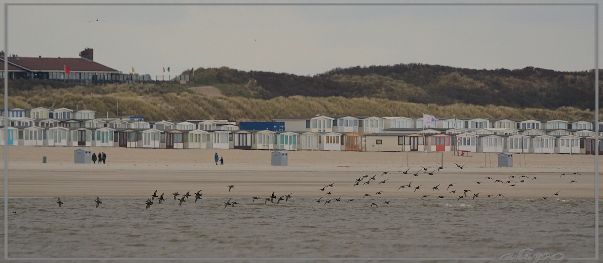 20150422_1522wintertalingen_strand_pier2