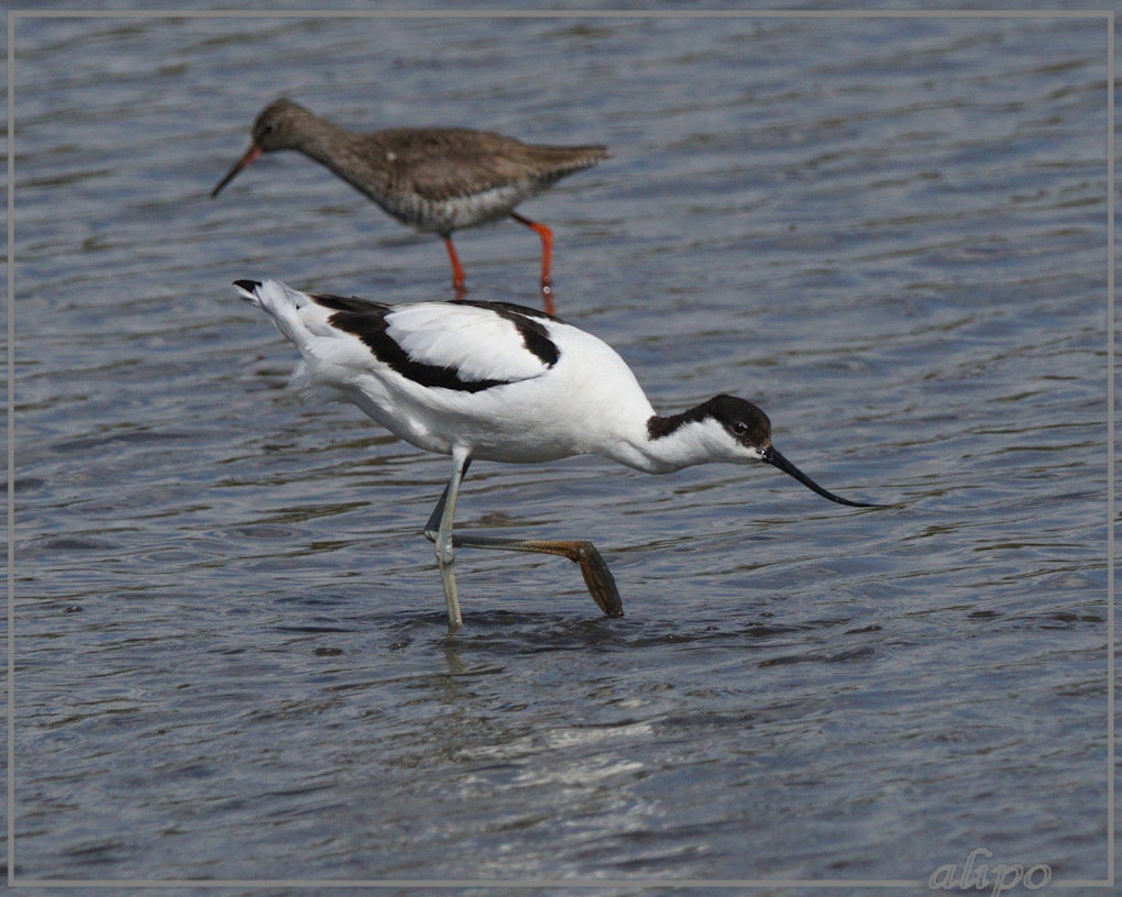 20150501_1623kluten_Gruijterslandje (6)