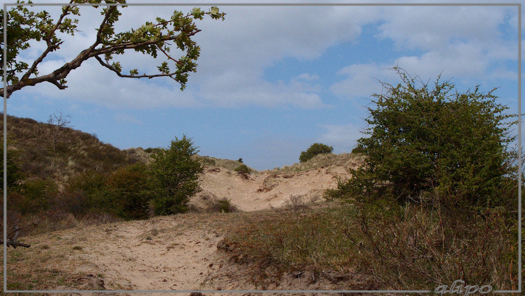 Herenduinen Olympus XZ1