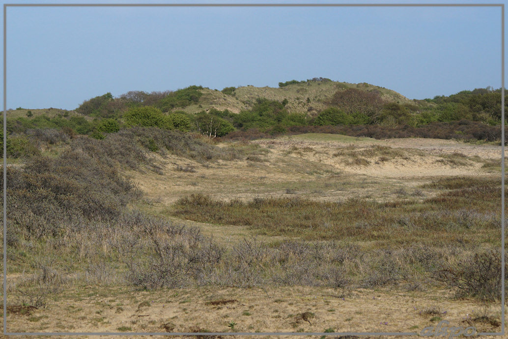 20150505_1736Herenduinen