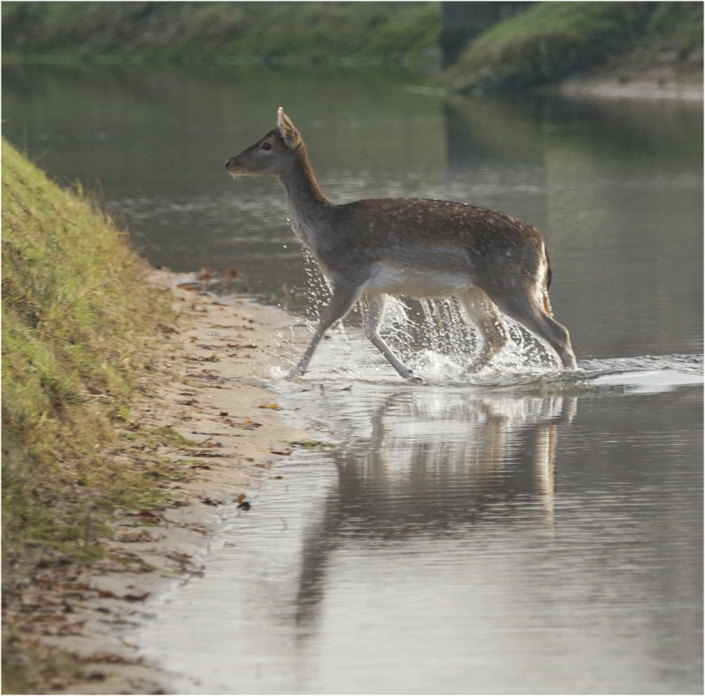 20151207_1436herten_door_water_AWD (1)