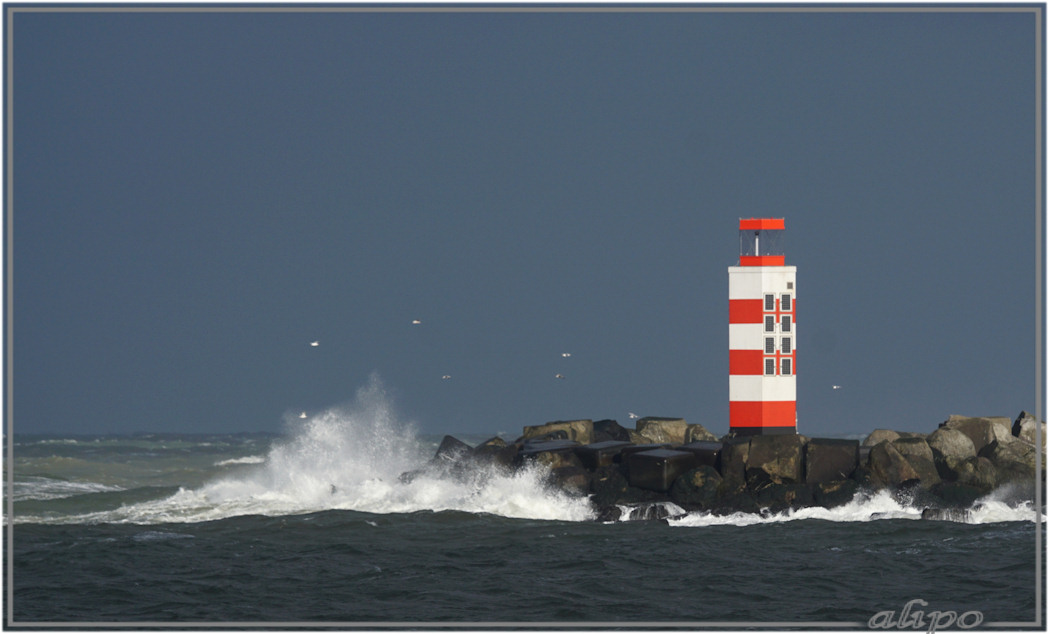 20160112_1215golf_noordpier