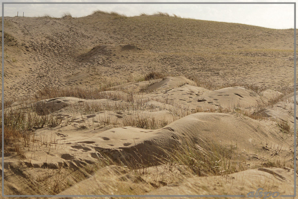 20160303_1610zeereep_strand_Duin_en_Kruidberg