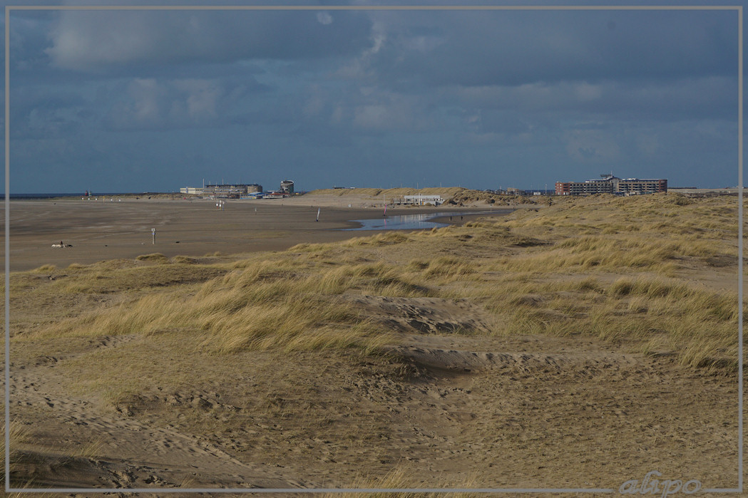 20160303_1614IJmuiden_strand_Duin_en_Kruidberg Sony A77ii 400mm