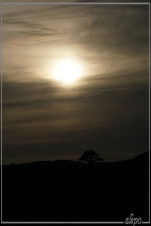 20161122_1520licht_duinen